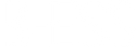 logo B-ESS blanco